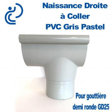 NAISSANCE DROITE A COLLER EN PVC GRIS PASTEL