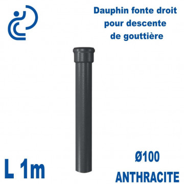 Dauphin Fonte Droit Ø100 finition Anthracite longueur 1 mètre