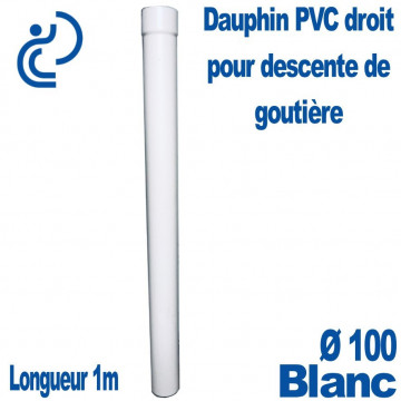 Dauphin PVC Droit Blanc D100 1ml