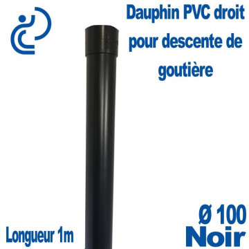 Dauphin PVC Droit Noir D100 1ml