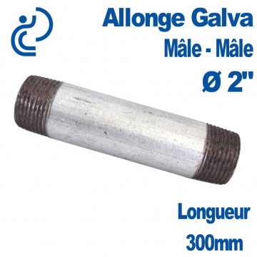ALLONGE GALVA Ø2" longueur 300mm Mâle-Mâle