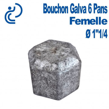 Bouchon Galva 6 PANS Femelle 1"1/4