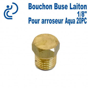 Bouchon Buse laiton 1/8"pour arroseur AQ20