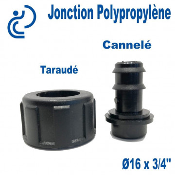 Jonction Polypro D16 x 3/4" taraudée