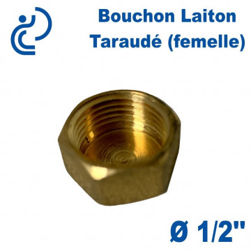 Bouchon Laiton Taraudé (femelle) 1/2"