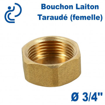 Bouchon Laiton Taraudé (femelle) 3/4"