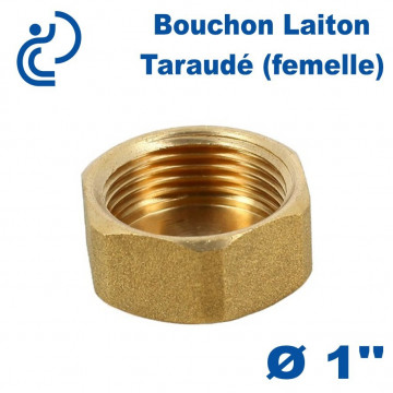 Bouchon Laiton Taraudé (femelle) 1"