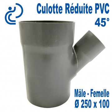Culotte Réduite Branchement Simple 45° 250x100 PVC à coller MF
