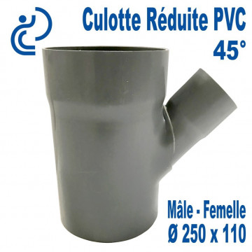 Culotte Réduite Branchement Simple 45° 250x110 PVC à coller MF
