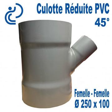 Culotte Réduite Branchement Simple 45° 250x100 PVC à coller FF