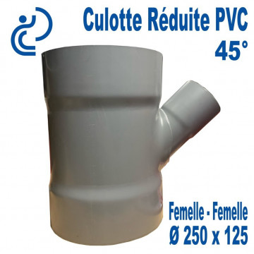 Culotte Réduite Branchement Simple 45° 250x125 PVC à coller FF