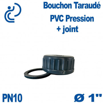 Bouchon Taraudé Ø1" PVC Pression PN10 Compris Joint