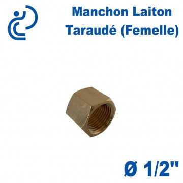 Manchon Laiton Taraudé (femelle) 1/2"