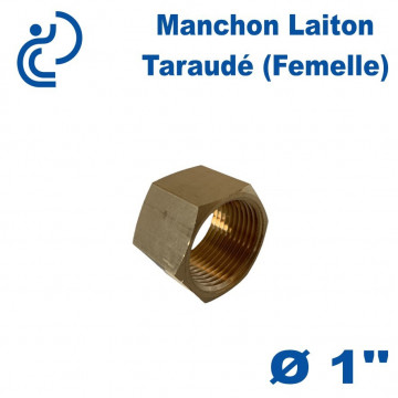 Manchon Laiton Taraudé (femelle) 1"