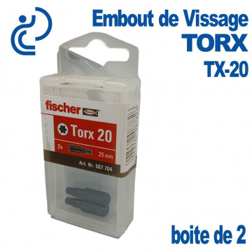 Embout de Vissage Etoilé TORX TX-20 (Boîte de 2)