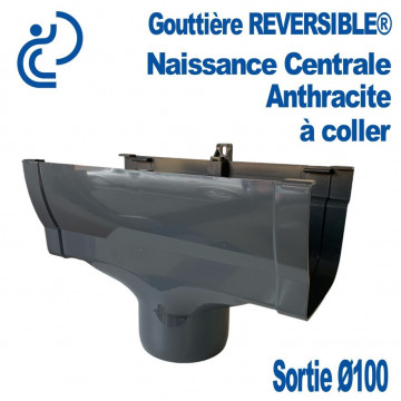 Naissance Centrale REVERSIBLE en PVC Anthracite pour descente Ø100