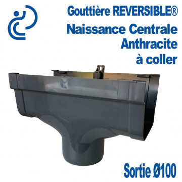 Naissance Centrale REVERSIBLE en PVC Anthracite pour descente Ø100