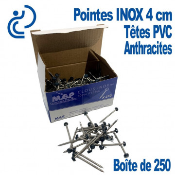 POINTES INOX 4CM TETE ANTHRACITE (boîte de 250)