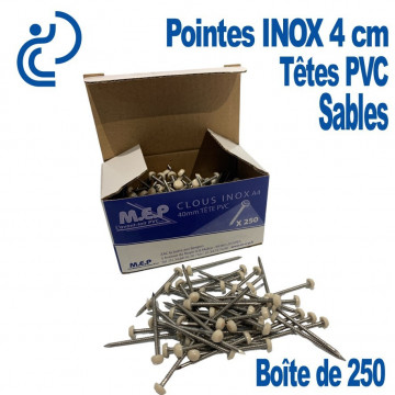 POINTES INOX 4CM TETE SABLE (boîte de 250)