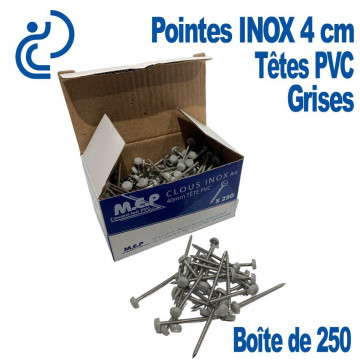 Pointes Inox 4CM Tête Gris Clair (boîte de 250)