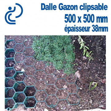 Dalle Gazon Clipsable 500x500mm prête à engazonner