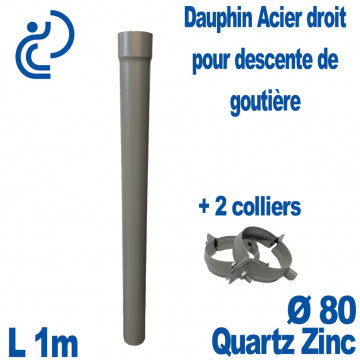 Dauphin Acier Ø80 finition Quartz-Zinc Hauteur 1 mètre + 2 colliers assortis