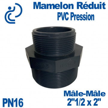 Mamelon Réduit PVC Pression 2"1/2 x 2" PN16