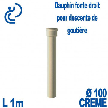 Dauphin Fonte Droit Ø100 finition Crème longueur 1 mètre