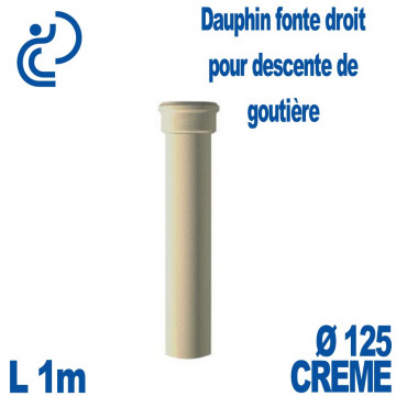 Dauphin Fonte Droit Ø125 finition Crème longueur 1 mètre