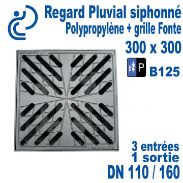Regard Pluvial PP Siphonné 300x300 à panier + Grille Fonte B125