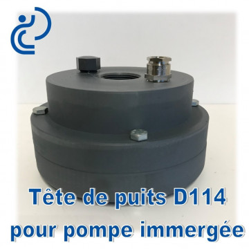 Tête de Puits en PVC pour Pompe Immergée D114